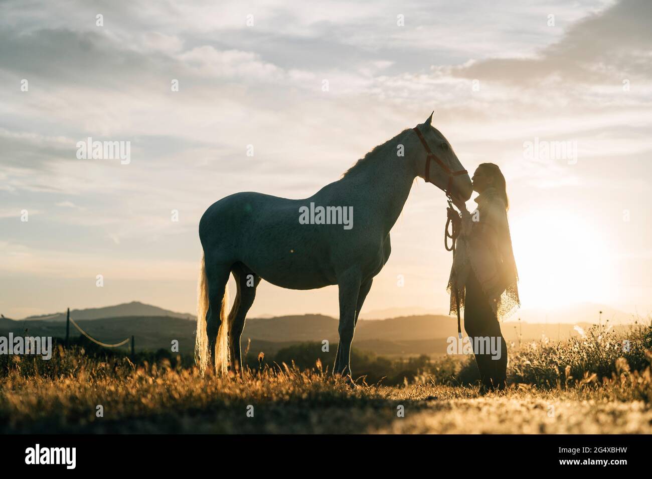Woman kissing horse hires stock photography and images Alamy