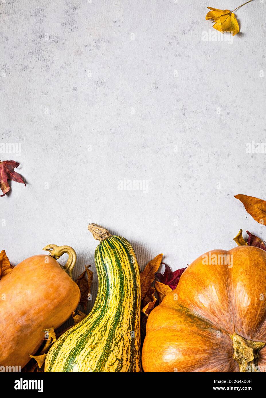 Autumnal background with pumpkins, fallen leaves and copy space Stock ...