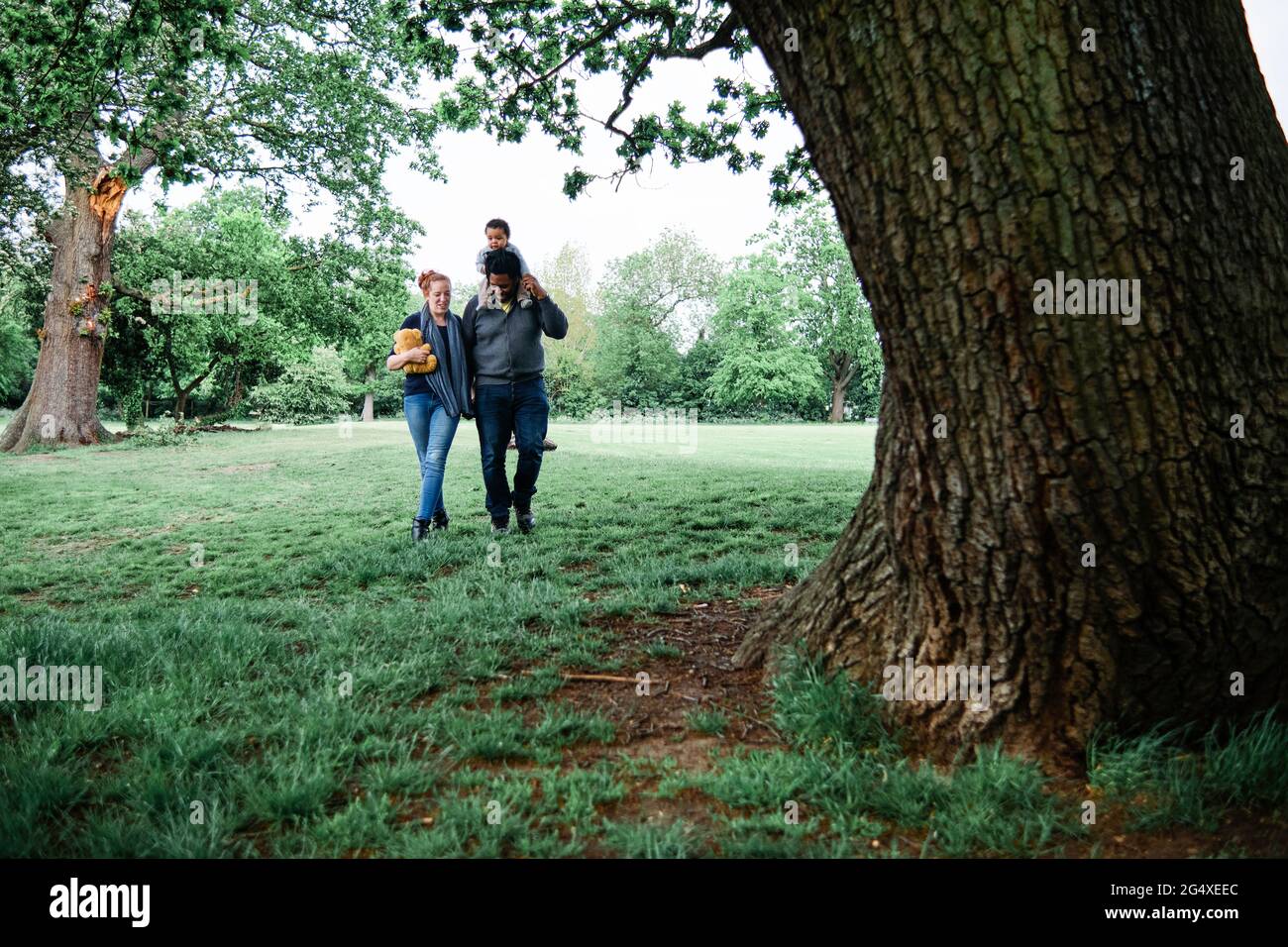Father and mother walking on grass with son in park Stock Photo