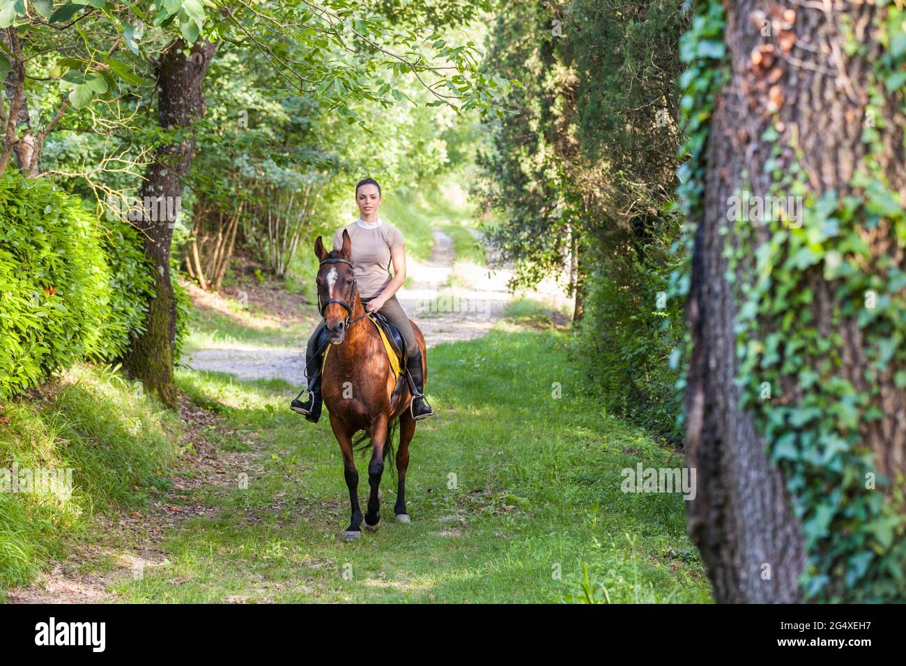 Woman riding on horseback at grass area Stock Photo