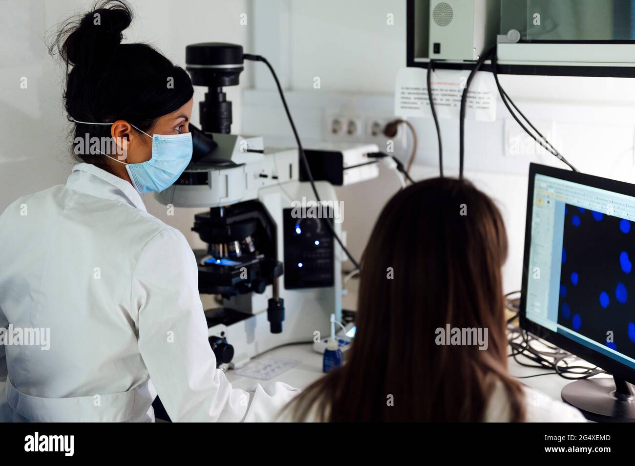 Female scientists working together while examining medical samples on computer in laboratory during COVID-19 Stock Photo