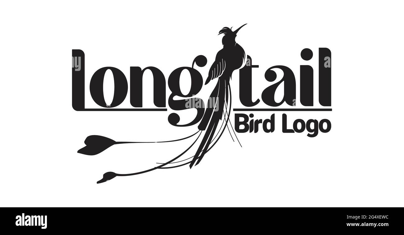 long tail bird logo exclusive design inspiration Stock Photo