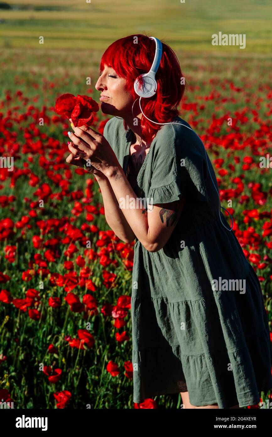 Woman with eyes closed smelling flowers on filed Stock Photo - Alamy