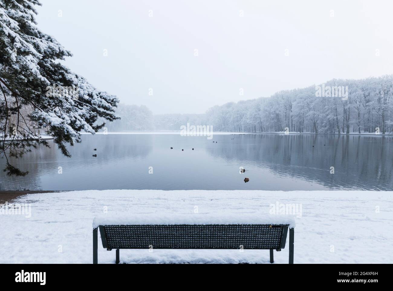 Snow on the bench hi-res stock photography and images - Alamy
