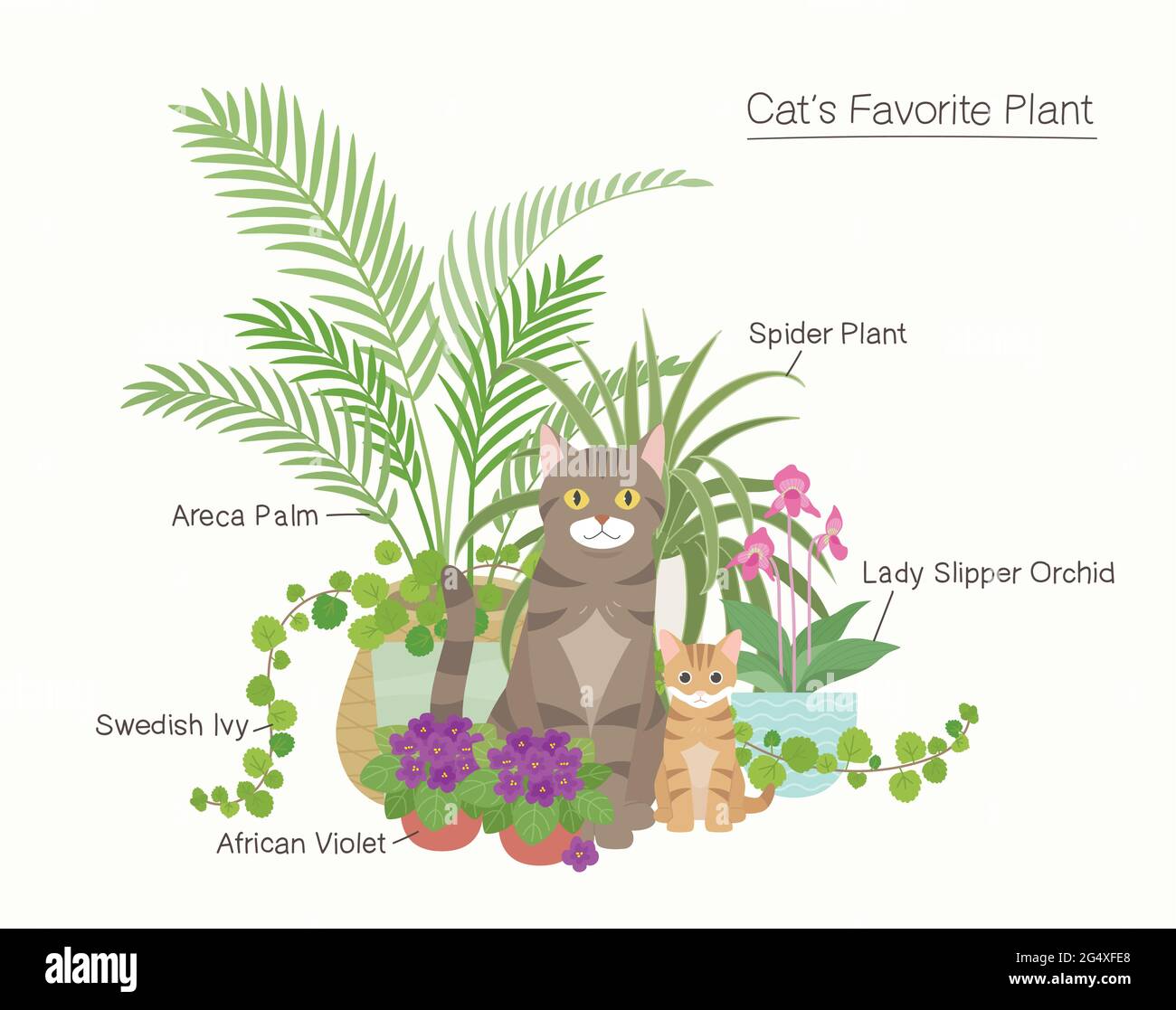 Cute cats and their favorite plants. Stock Vector