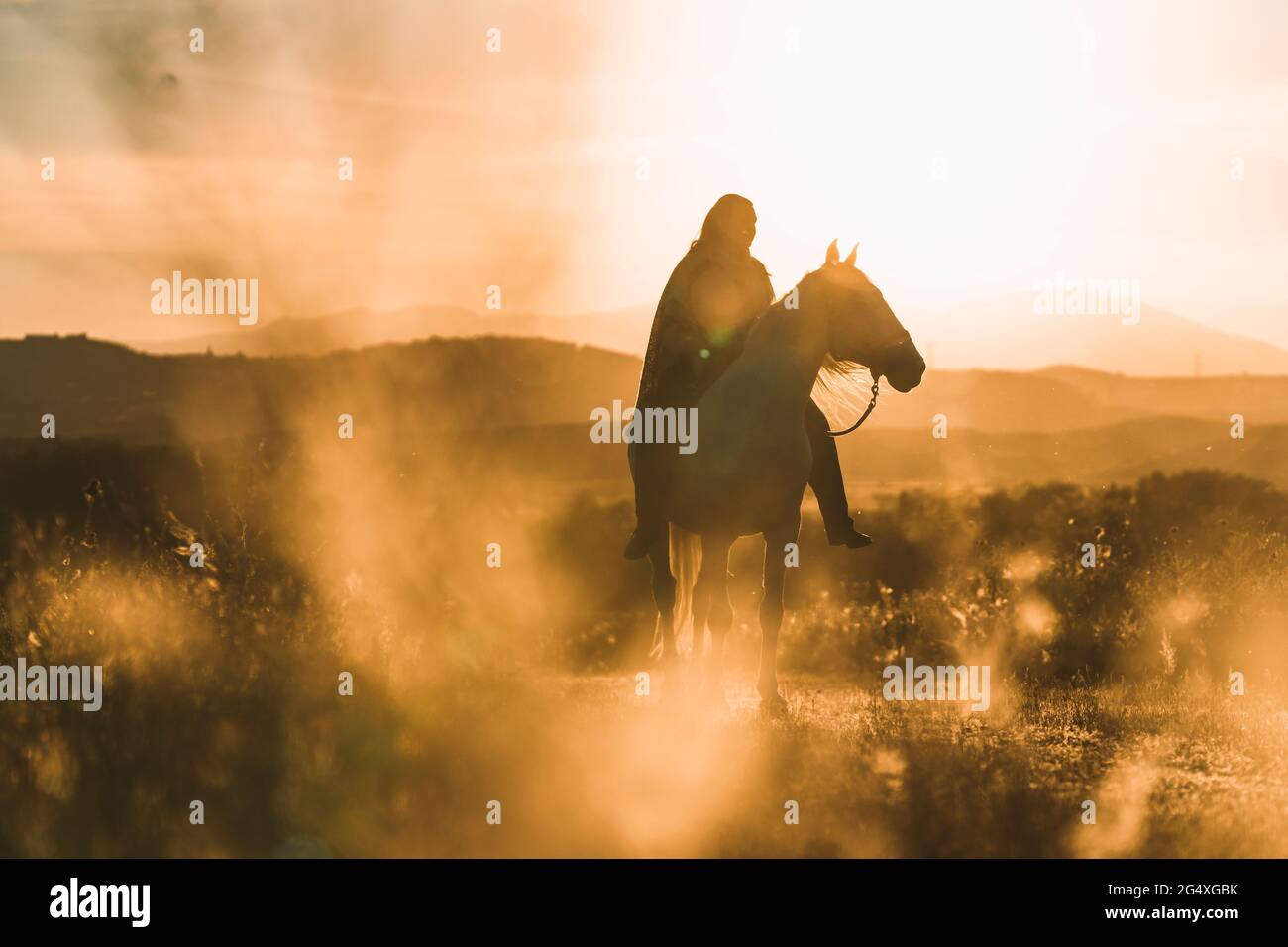 Woman riding horse on field during sunset Stock Photo