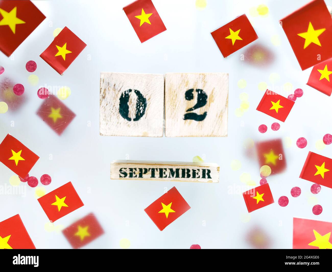 vietnamese independence day for southern