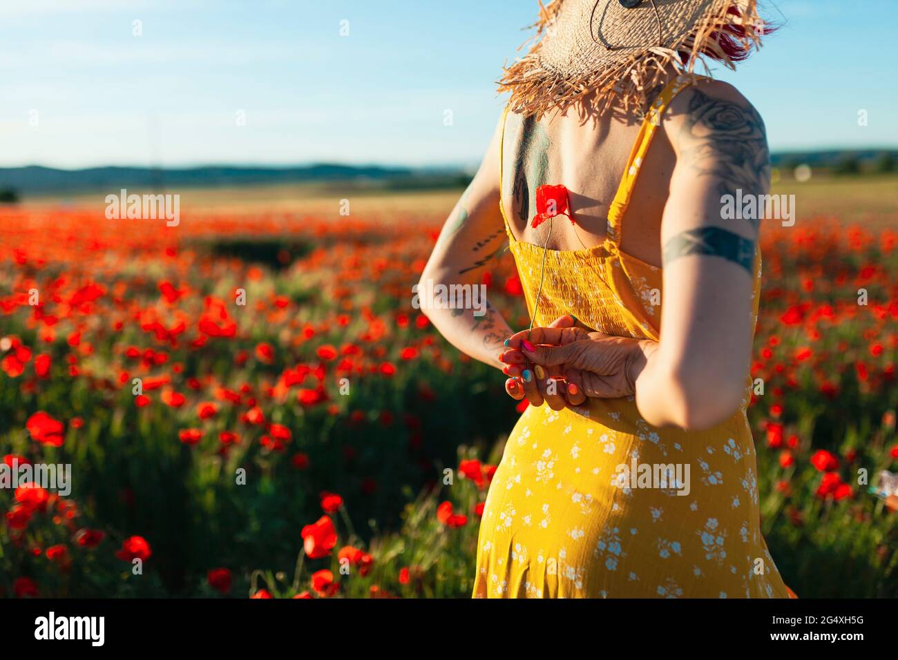 Woman holding poppy flower behind back at field Stock Photo