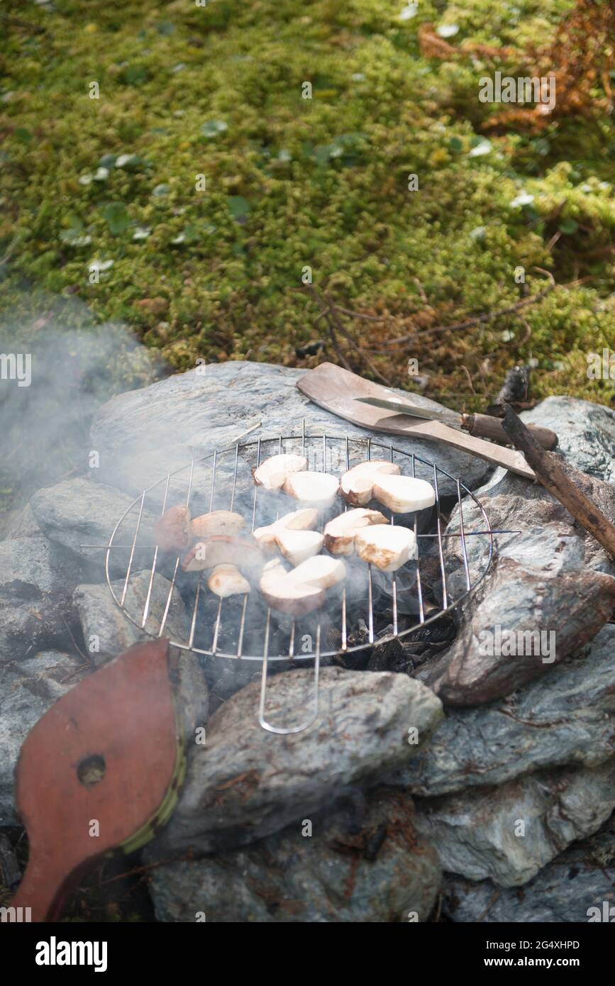 Lidl Grillmeister Gas Fire Pit informacionpublica.svet.gob.gt