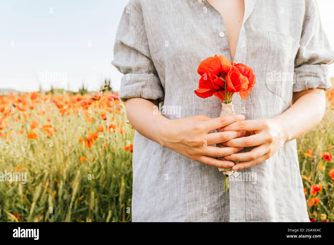 Mid adult woman wearing shirt holding poppy flowers at field Stock Photo