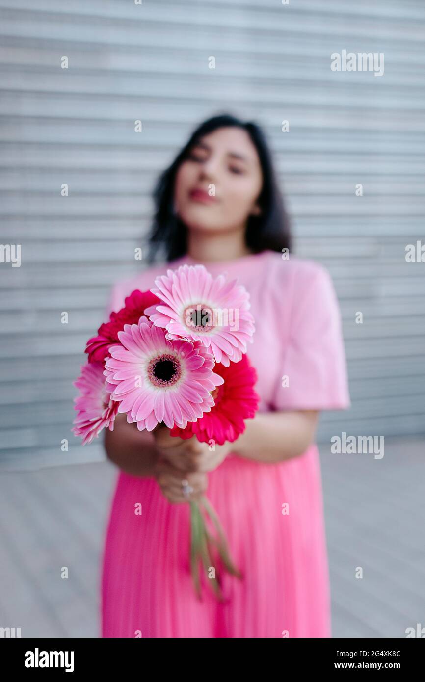 Woman showing Gerbera daisy flowers in front of shutter Stock Photo
