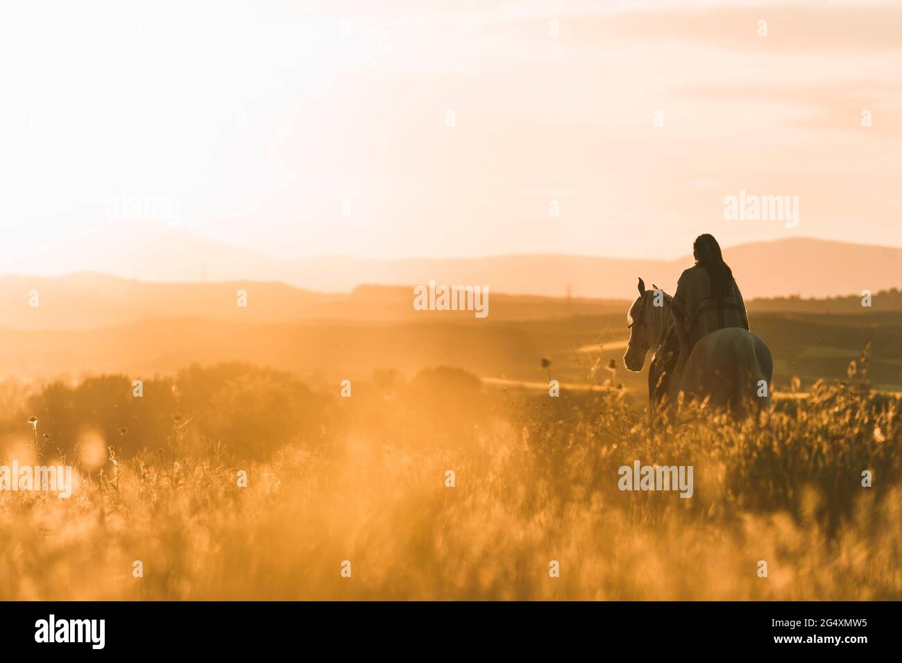 Young woman riding horse during sunset Stock Photo