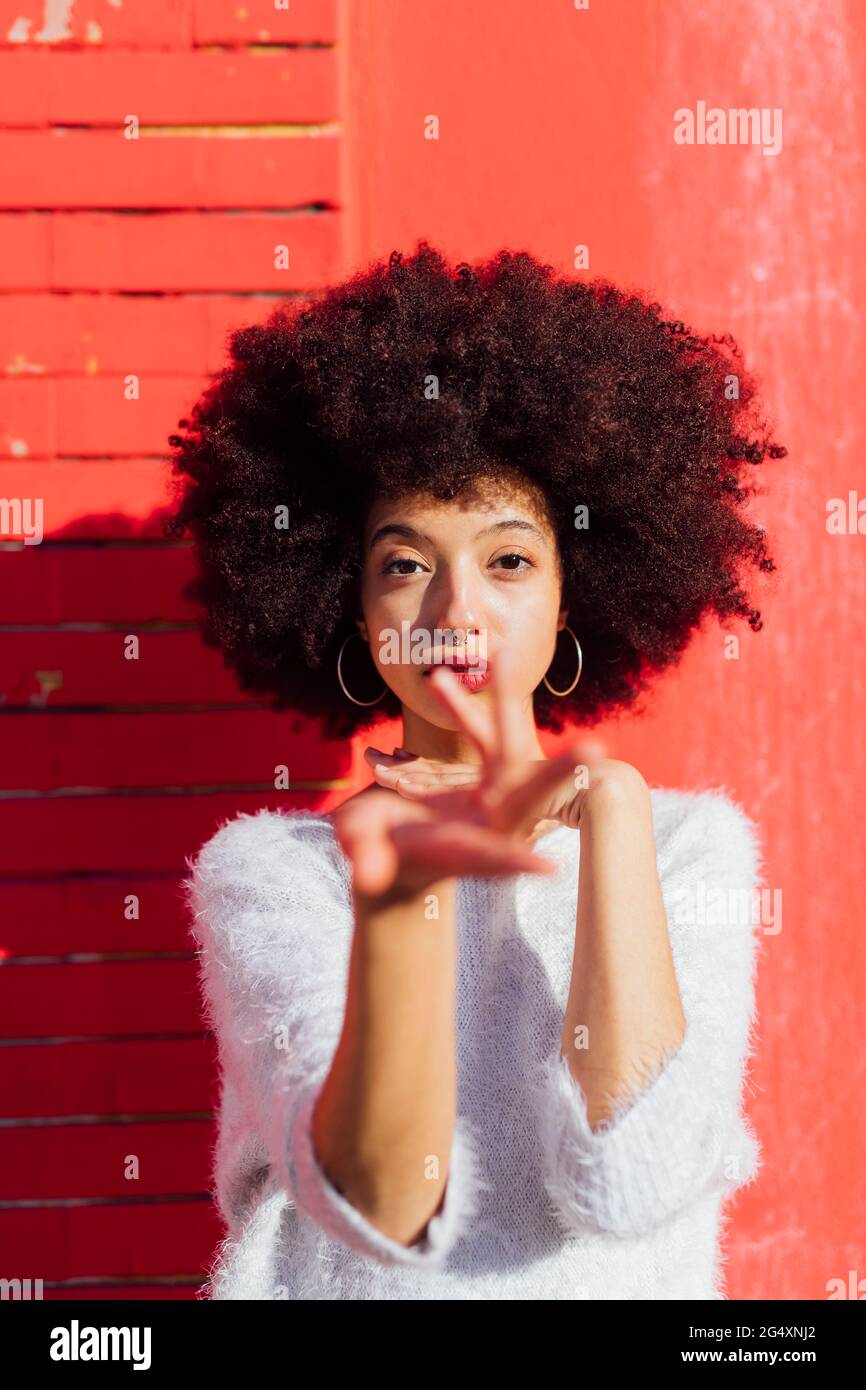 Afro hair hi-res stock photography and images - Alamy