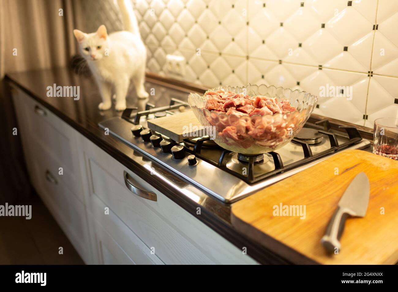 Cat standing kitchen hi res stock photography and images Alamy
