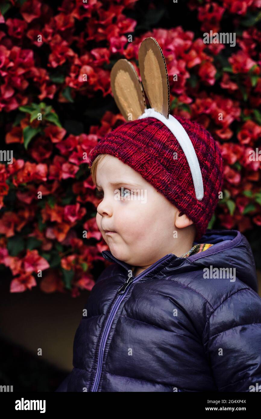 Cute little boy wearing rabbit ears standing in front of bougainvillea flowers Stock Photo
