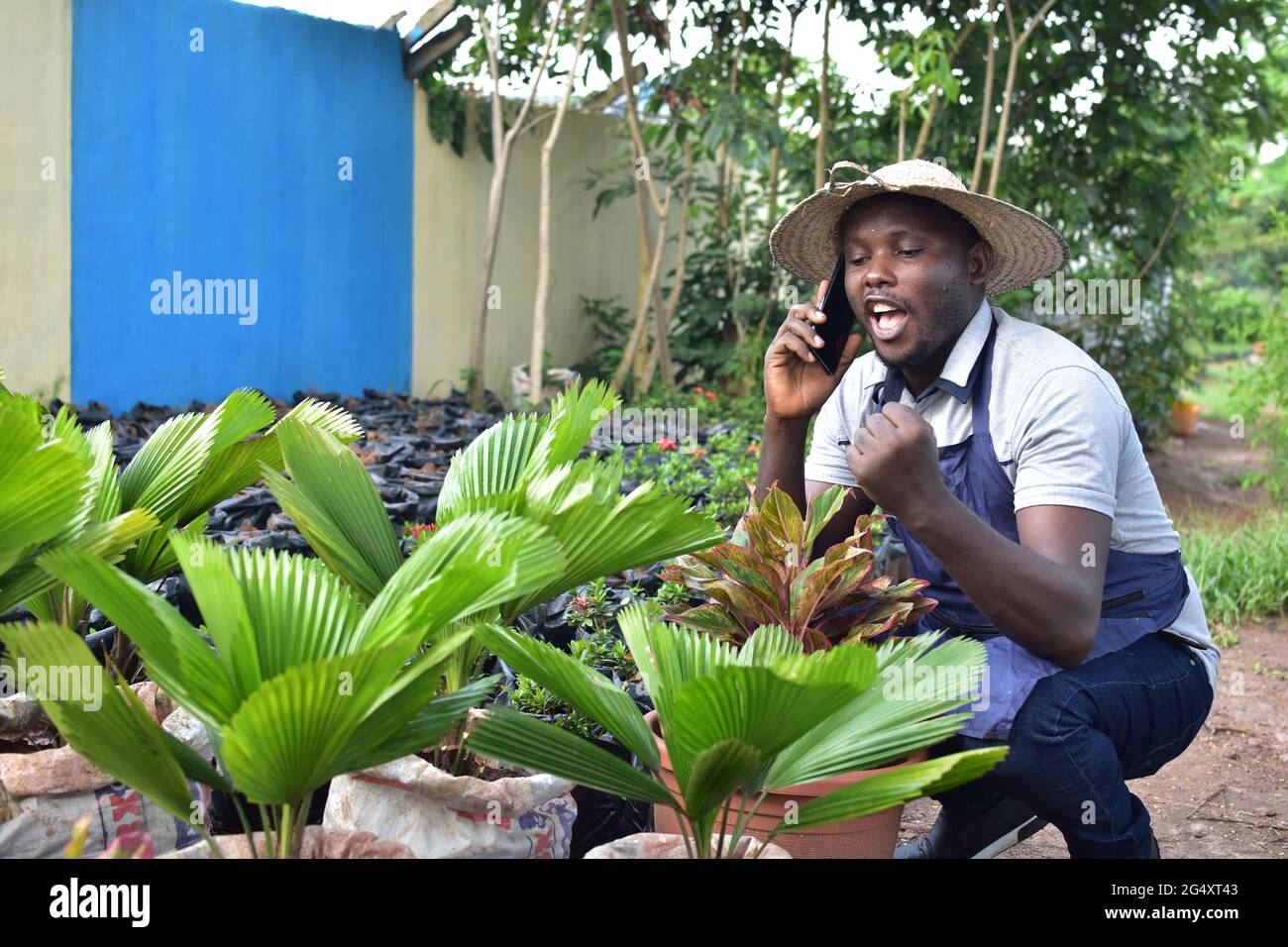 an african farmer making a phone call Stock Photo