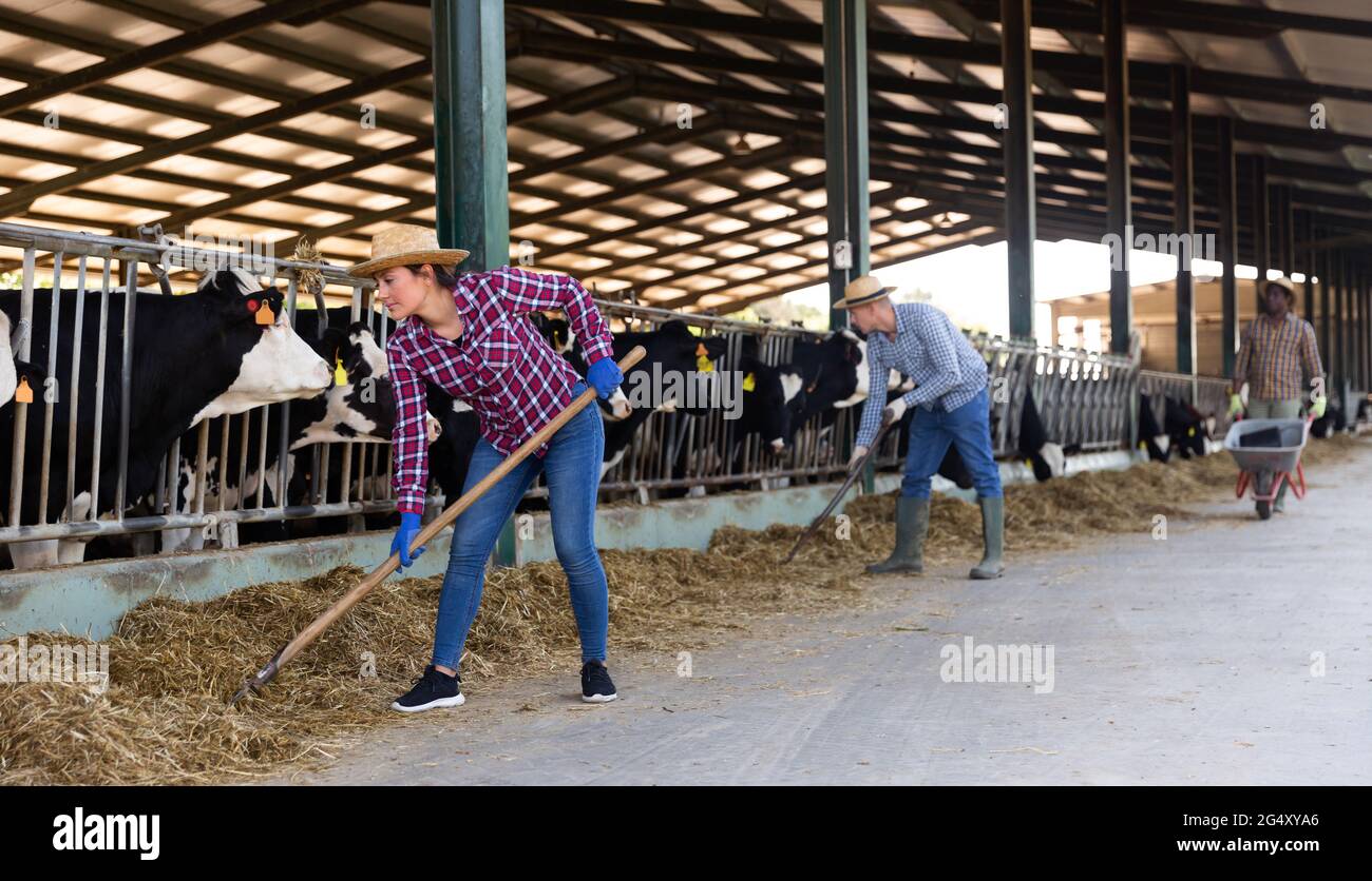 Portrait of farmers labored in a cowshed Stock Photo Alamy
