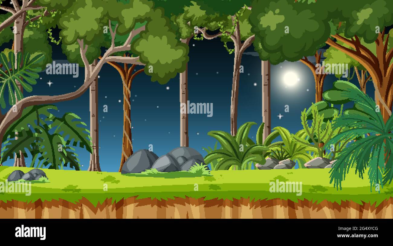 Forest landscape scene at night with many different trees illustration ...