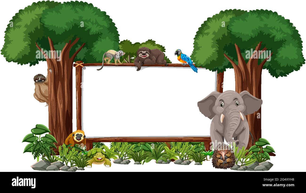 Empty banner with wild animals and rainforest trees on white background ...