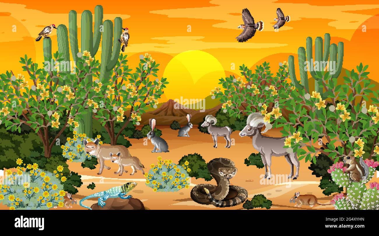 Desert forest landscape at sunset time scene with wild animals ...