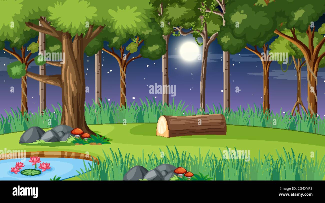 Forest landscape scene at night with many different trees illustration ...