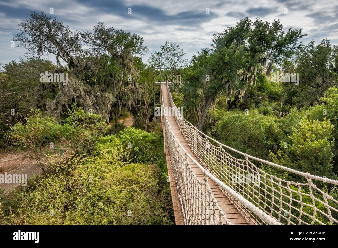 Suspension rope bridge footbridge hires stock photography and images
