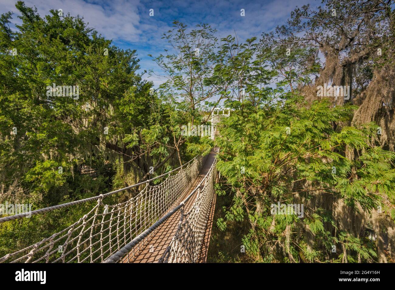 Canopy cable bridge hires stock photography and images Alamy
