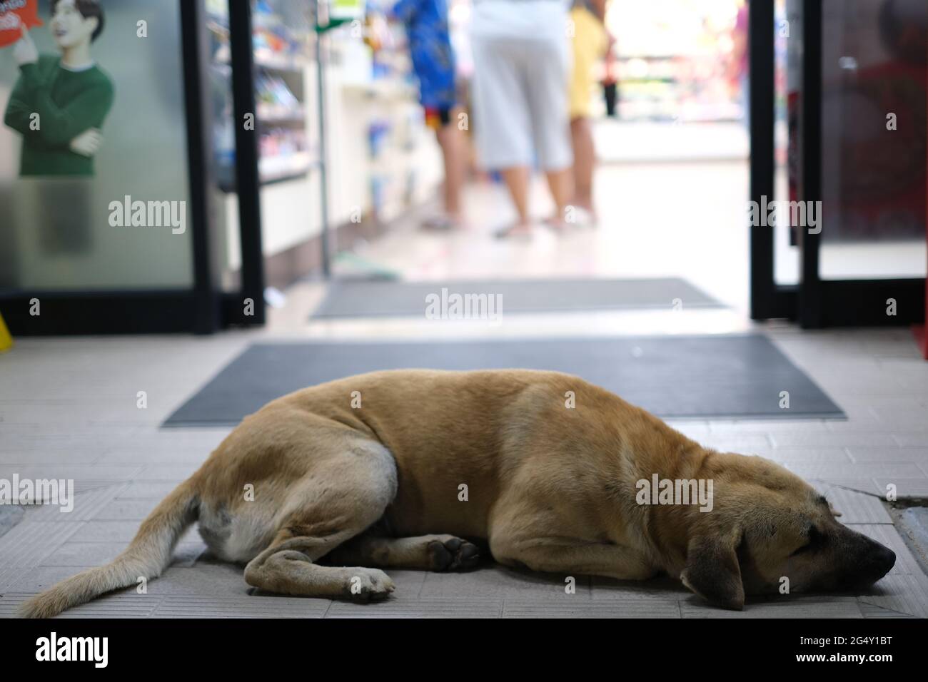 Automatic door hires stock photography and images Alamy