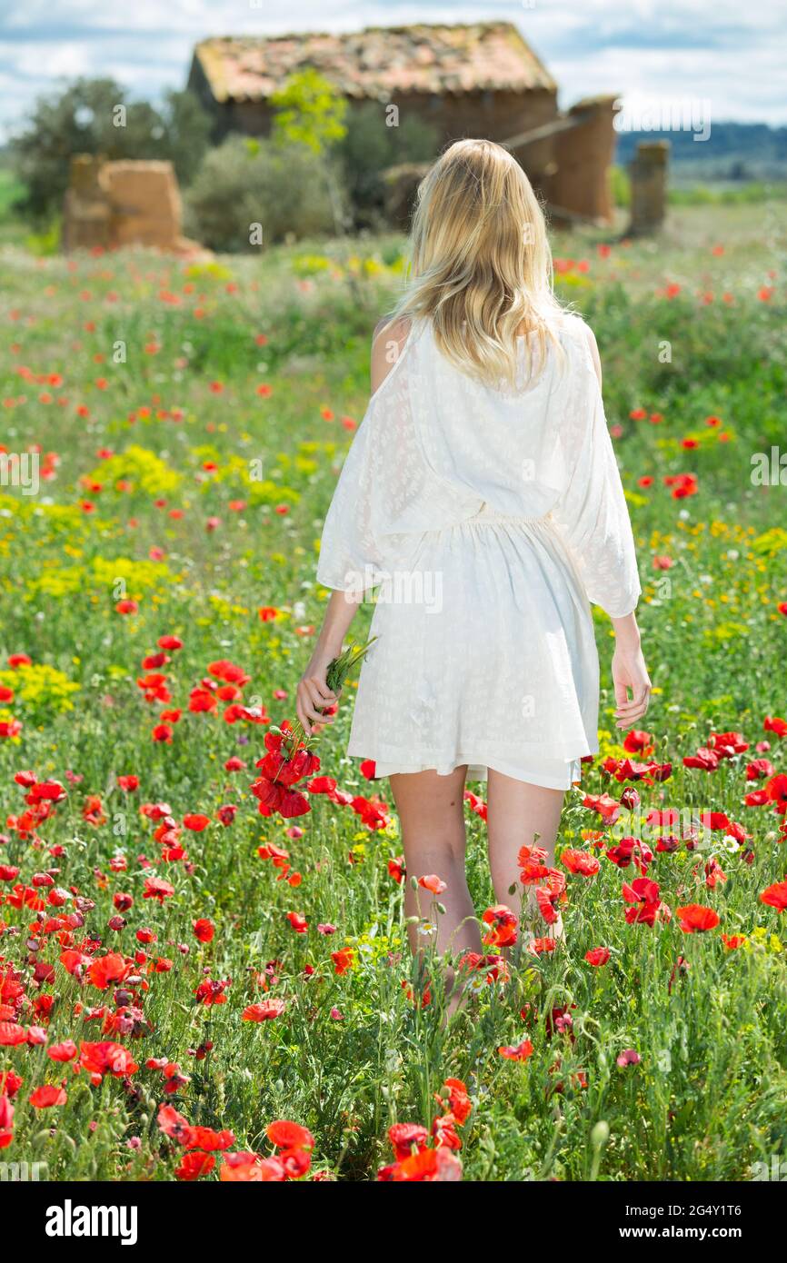 Young woman in white dress walking and holding bouquet of poppies ...