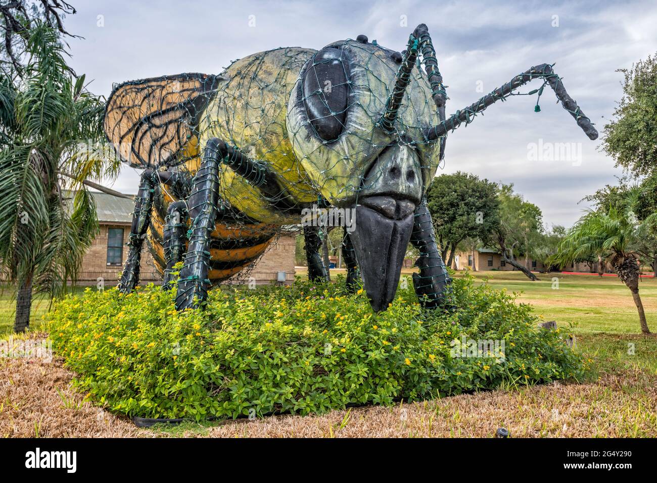 World's Largest Killer Bee, sculpture in Hidalgo, Rio Grande Valley, Texas, USA Stock Photo
