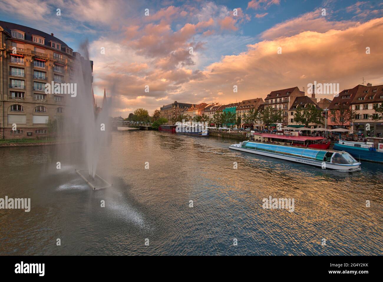Esca hi-res stock photography and images - Alamy