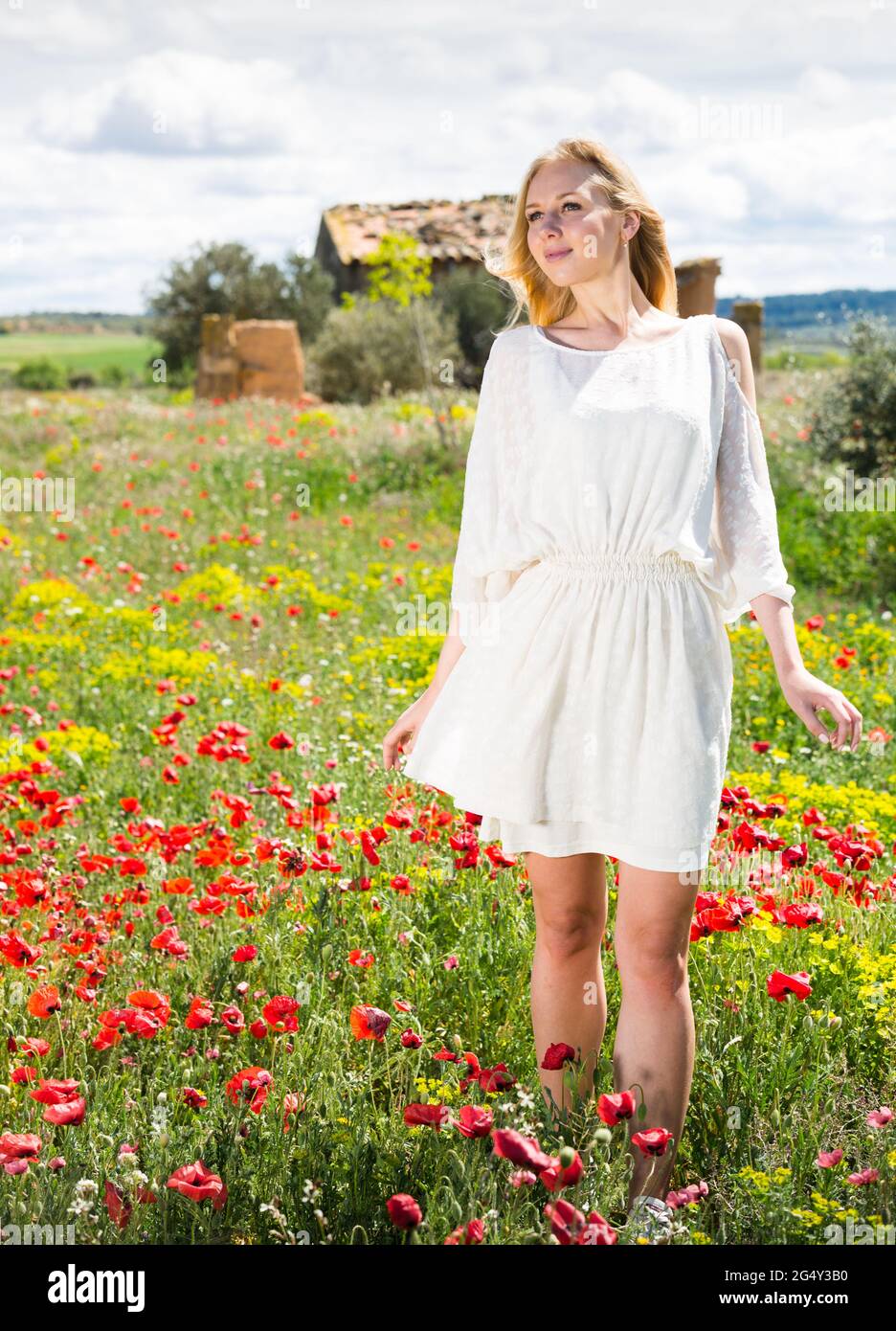Young woman in white dress walking through a poppies plant Stock Photo ...