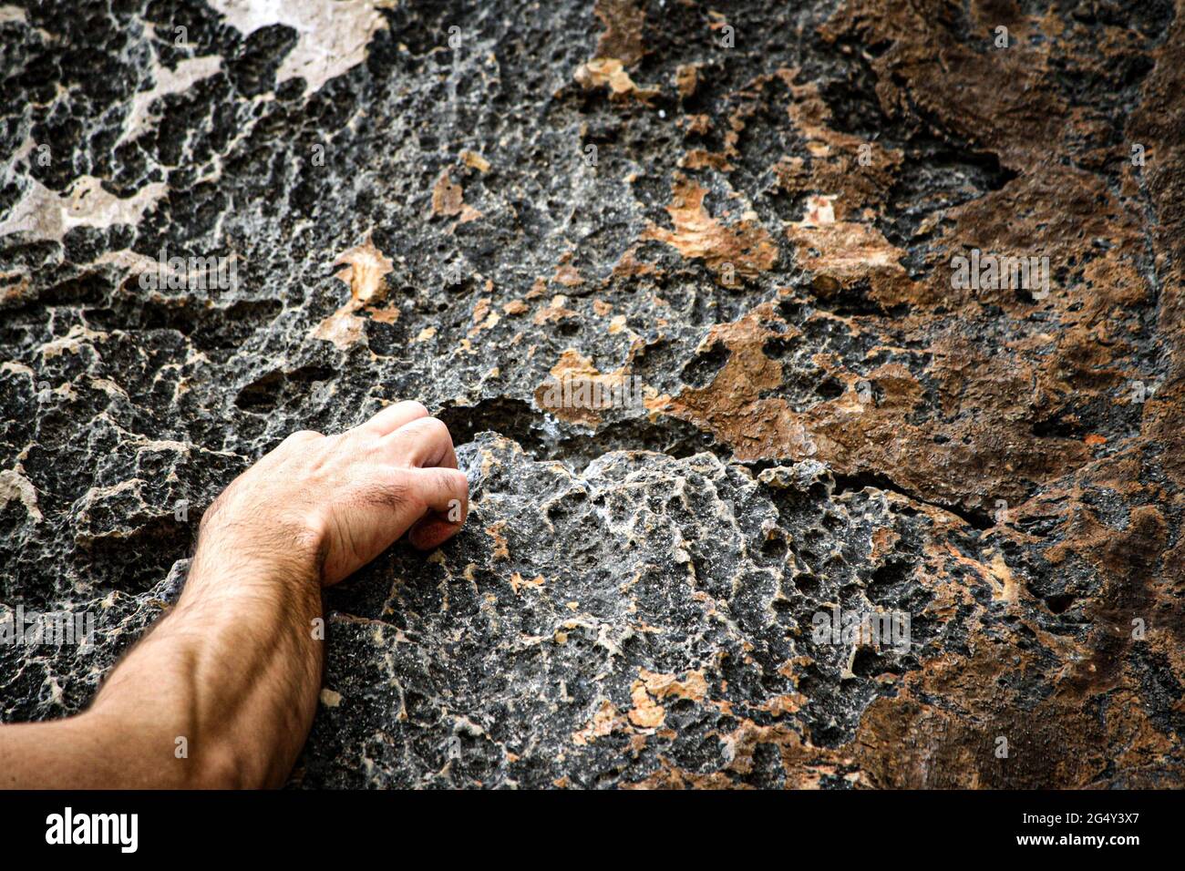 climbing. hand of climber grabs the rock Stock Photo - Alamy
