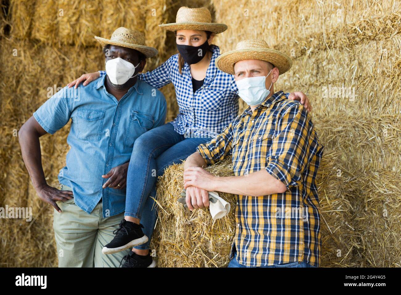 Cow masks hi-res stock photography and images - Alamy