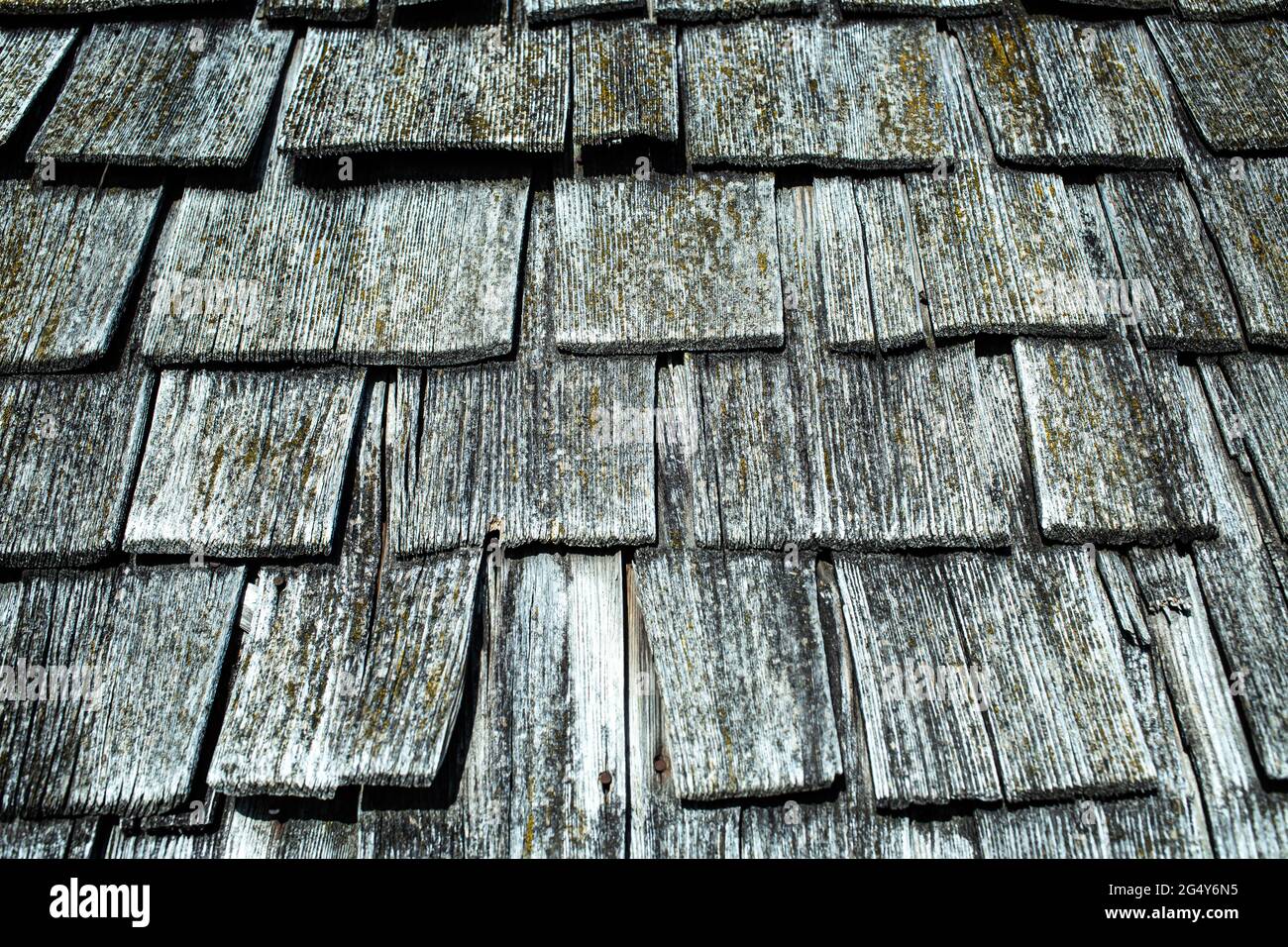 Old wooden roof tiles texture Stock Photo