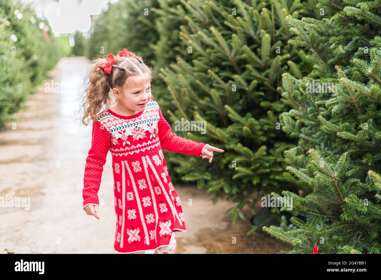 Little girl in red dress at the Christmas tree farm Stock Photo - Alamy
