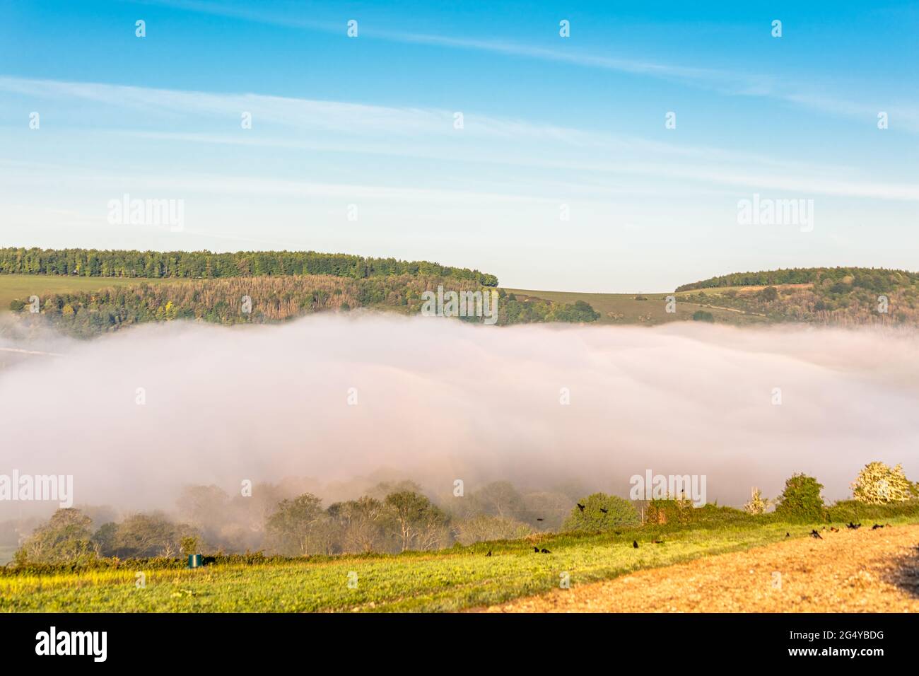 Beautiful misty morning with thick fog over the countryside Stock Photo ...