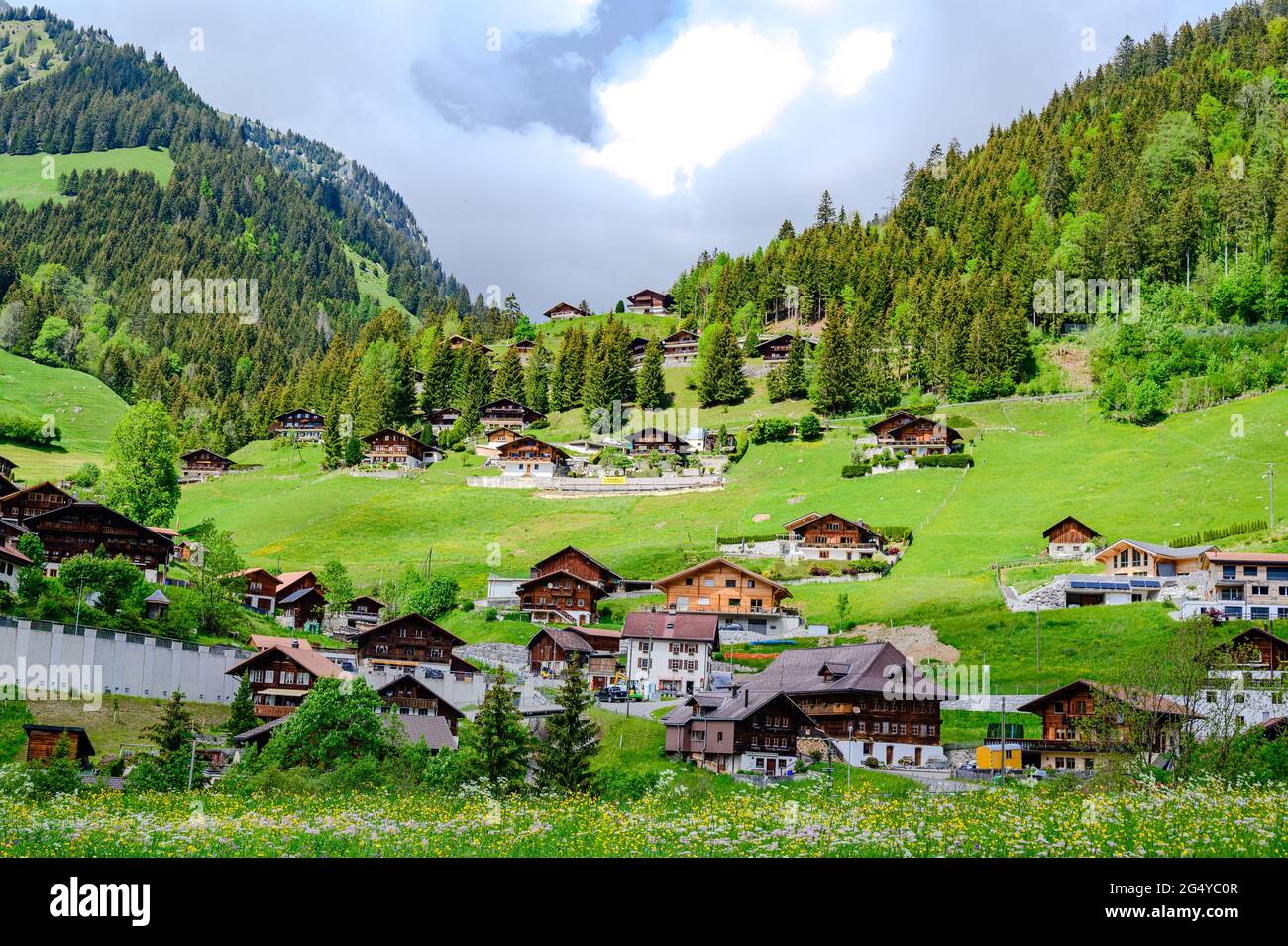 Houses, alps mountains, green fields in Jaun, Kanton Fribourg, Freiburg nearby Bulle, Bern, Thun. Good hiking tourist way. Switzerland Stock Photo