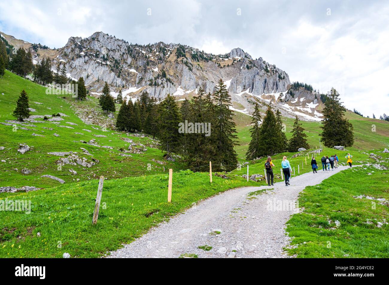 Peaple in alps mountains  by Jaun, canton Fribourg, Freiburg nearby Bulle, Bern, Thun. Cloudy sky, green fields, good hiking tourist way. Switzerland Stock Photo