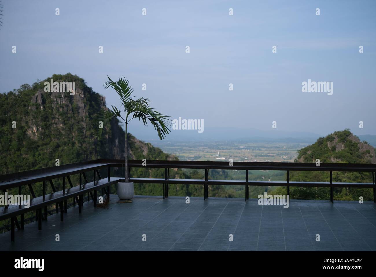 Terrace with bench and a palm tree on top of a mountain Stock Photo
