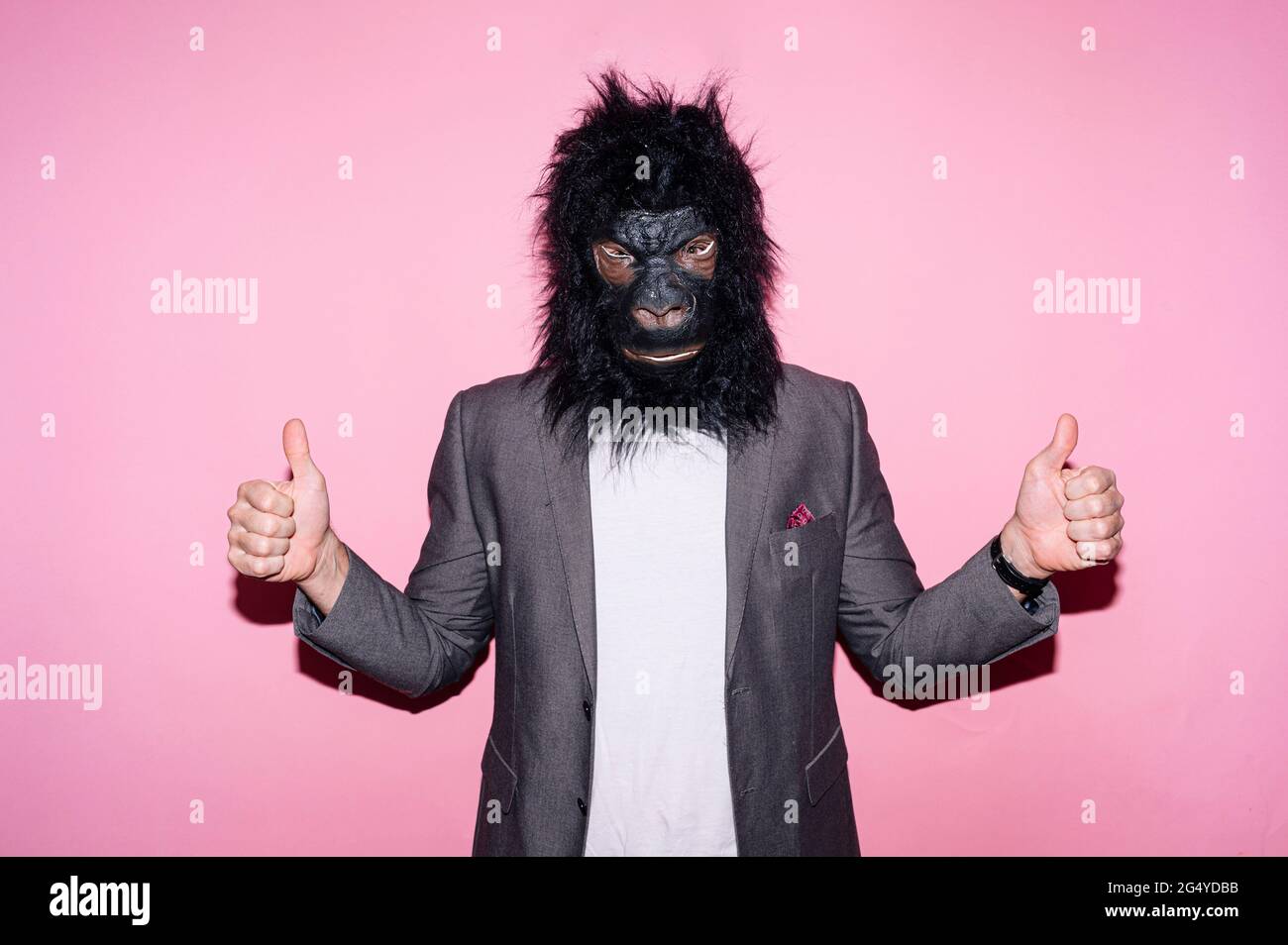 Gesture man wearing gorilla mask and making sign with fingers up Stock
