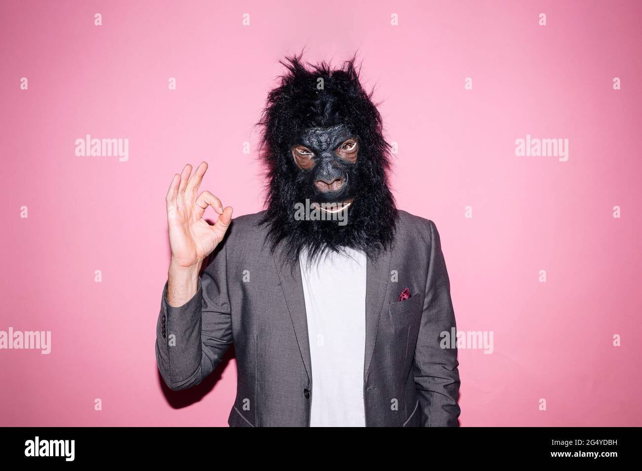 Gesture man wearing gorilla mask and making OK sign with hand Stock