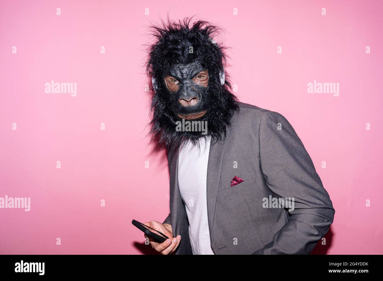 Gesture man with gorilla mask using smart phone Stock Photo