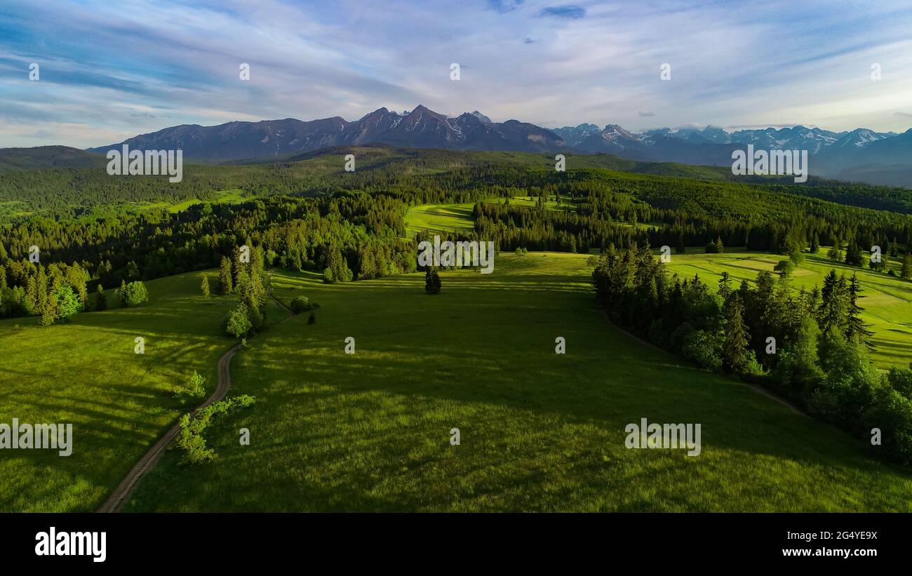 Mountain landscape, aerial view. Beautiful summer mountain vista. Tatra mountains, green meadows, pine trees and rocky peaks. Stock Photo