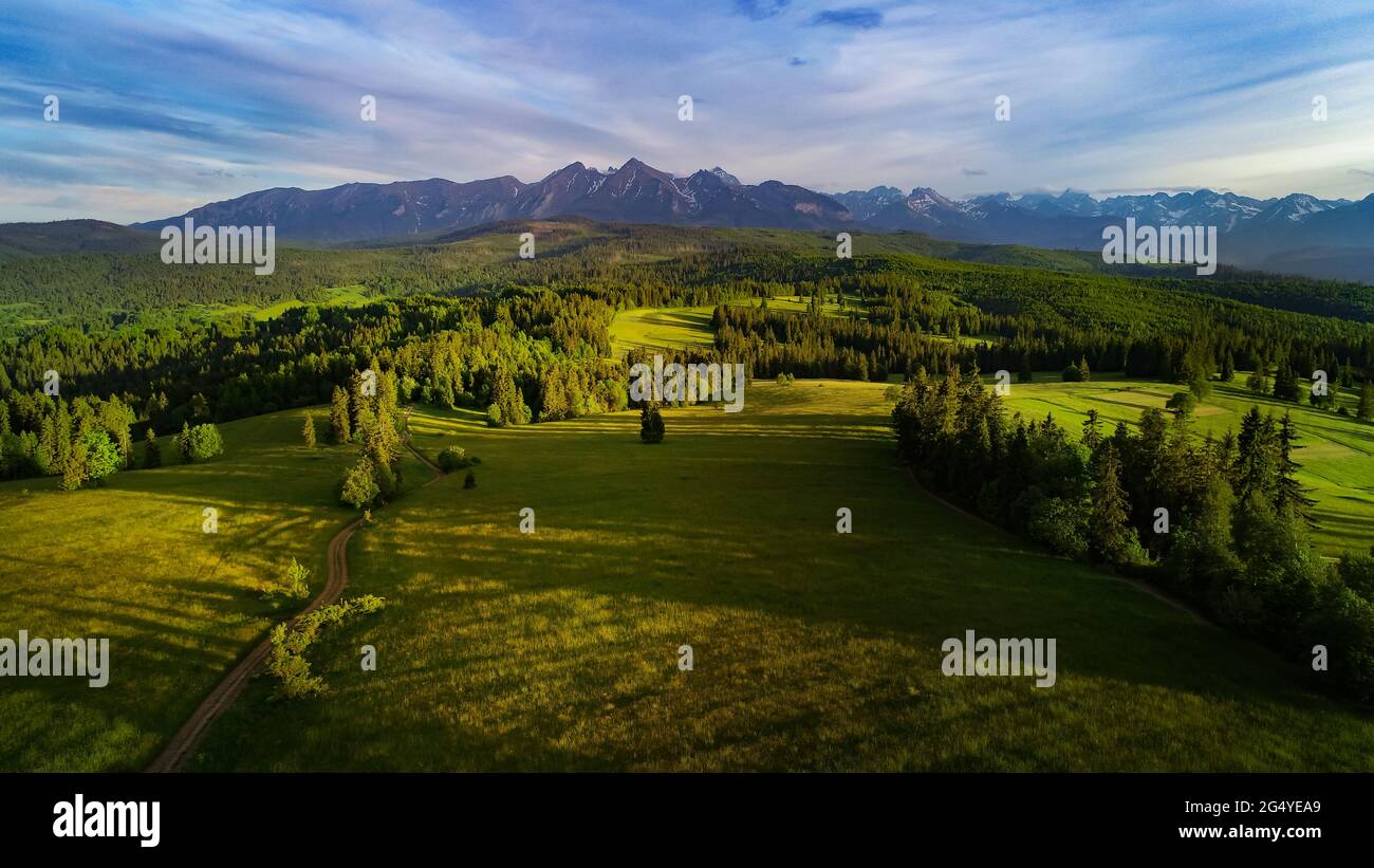 Mountain landscape, aerial view. Beautiful summer mountain vista. Tatra mountains, green meadows, pine trees and rocky peaks. Stock Photo