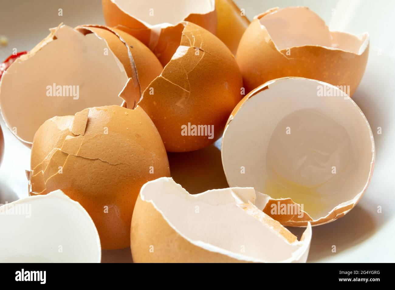 Many empty eggshells of hen eggs close up Stock Photo