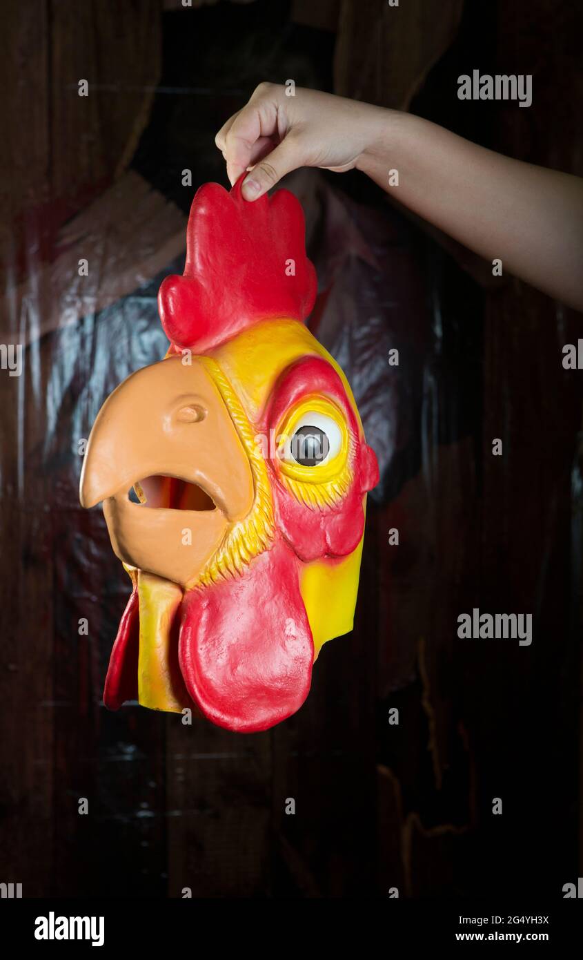 A hen mask at Drummers Joke shop in Blackppol Stock Photo - Alamy