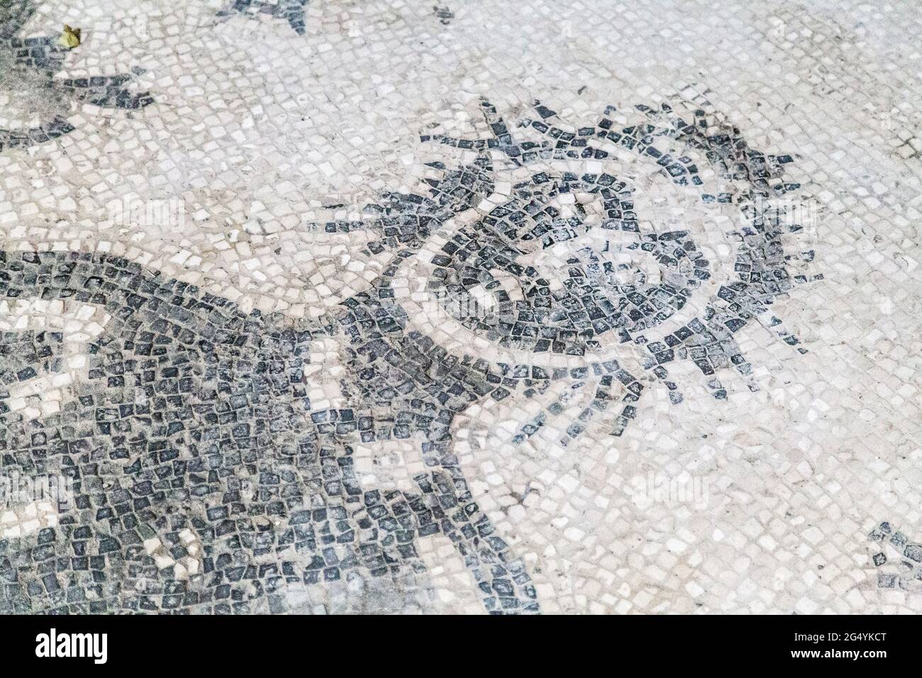 Floor mosaic of galloping Triton in the tepidarium (baths) at the archeological site of the Ancient City of Herculaneum, Campania, Italy Stock Photo