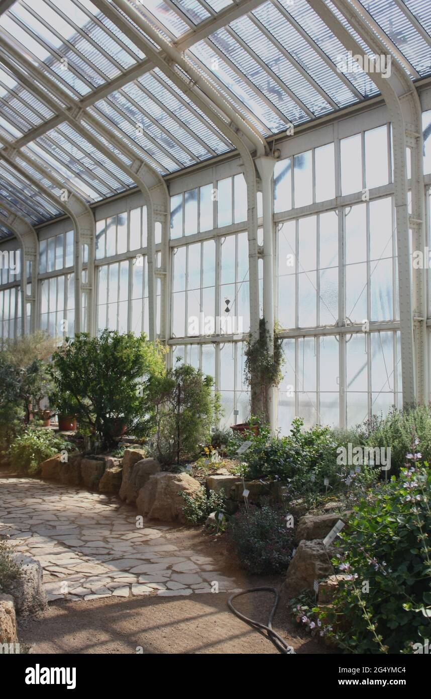 Berlin Botanical Garden greenhouse on a sunny day Stock Photo Alamy