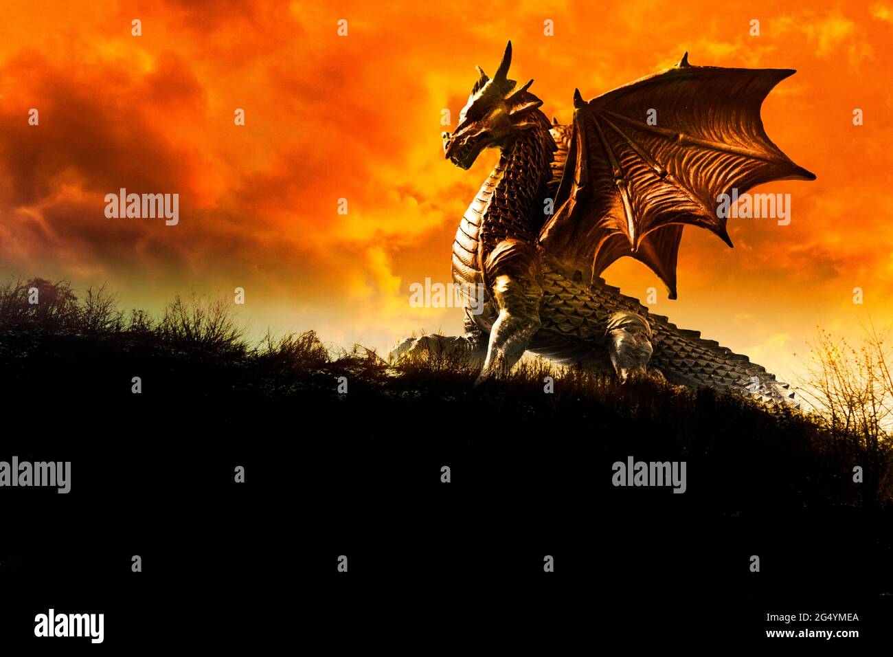 fiery fantasy winged dragon Stock Photo